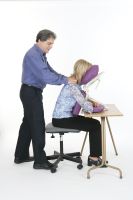 Pisces Productions Dolphinette Desk Topper™