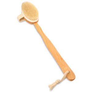 LongHandleBoarBrushW/RemovableHandle