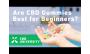 CBD University: Are CBD Gummies Best For Beginners?